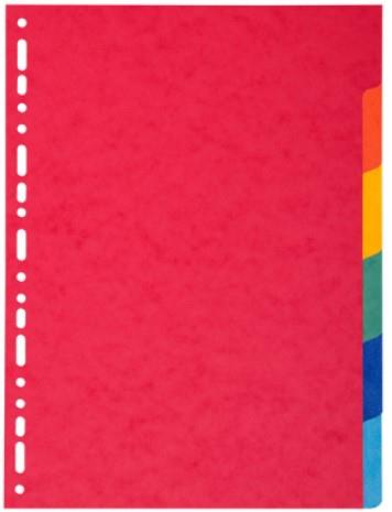 DIVISORI A4 RICICLATO EXACOMPTA 220G-6        2006E