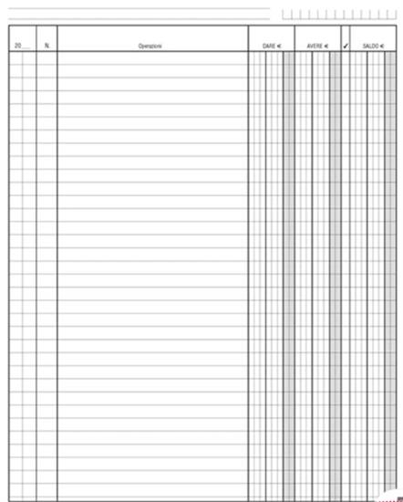 REGISTRO DARE AVERE SALDO 210X148  0911