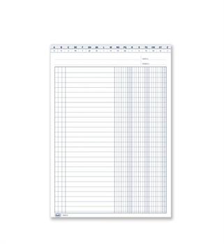 SCHEDE 3 COLONNE DARE AVERE SALSDO CON IVA 24X17  0127