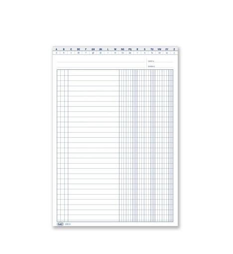 SCHEDE 3 COLONNE DARE AVERE SALSDO CON IVA 24X17  0127