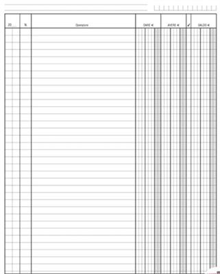 REGISTRO DARE AVERE SALDO 210X148  0911