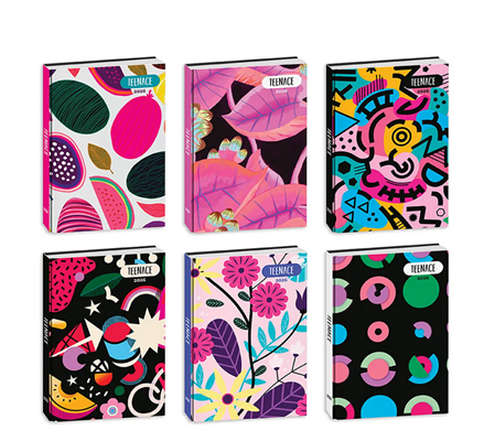 DIARIO TEENACE POCKET 12M           50E102500