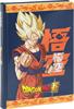 DIARIO PANINI DRAGON BALL    73319