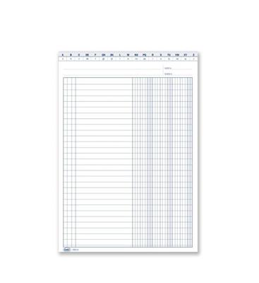 SCHEDE 3 COLONNE DARE AVERE SALSDO CON IVA 24X17  0127