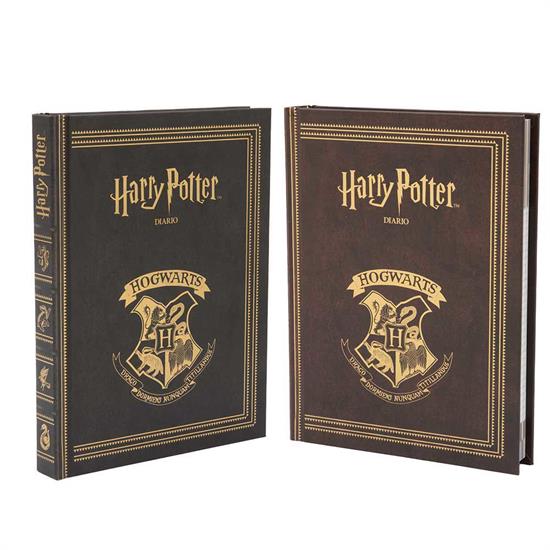 DIARIO HARRY POTTER 10MESI             HR922000
