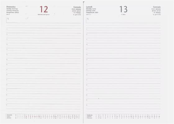 AGENDA INTEMPO GIORN. BALCRON 17X24 71741TX