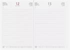 AGENDA INTEMPO GIORN. BALCRON 17X24 71741TX