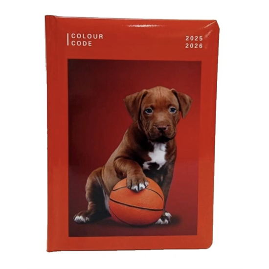 DIARIO SEVEN SNAPSHOT ANIMAL 10M          50D802500