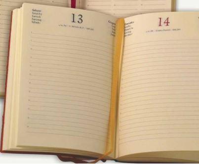 RICAMBIO INTERNO AGENDA INTEMPO 17X24CM 7041XO33