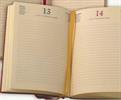 RICAMBIO INTERNO AGENDA INTEMPO 17X24CM 7041XO33
