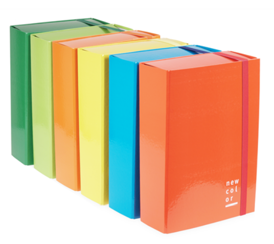 CARTELLA PROGETTI D.10 CON ELASTICO ASS. 25X35    22301