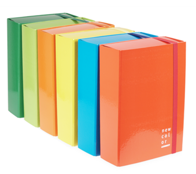 CARTELLA PROGETTI D.10 CON ELASTICO ASS. 25X35    22301