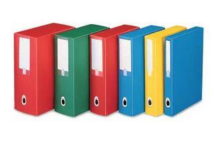 CARTELLA PROGETTO DR.8CM FELLOWES 5PZ  U208 ASSORTITE