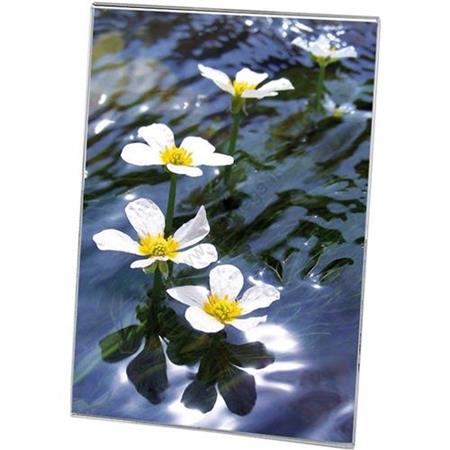 PORTADEPLIANT VERTICALE LEBEZ 15X21CM       7087