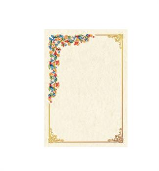 DIPLOMI PERGAMENA A4 LA MUSA  160G   12PZ   1920-12