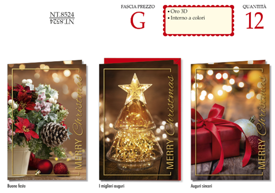 BIGLIETTI DI NATALE NT8524 12PZ ASS. BIGLIETTI DI NATALE NT8524 12PZ ASS.