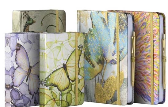 AGENDA GIORNALIERA 9X13 WINGS       INTEMPO  7523PATW