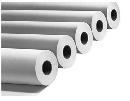 ROTOLO PLOTTER 90GR 420X50MM     42P29