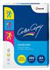 CARTA COLORCOPY 250GR A4 125FF      COLOR125/A4