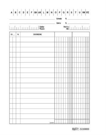 SCHEDE GENERICA  2 COLONNE 150X210  0114