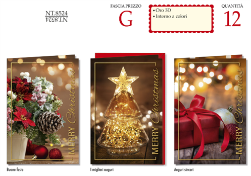BIGLIETTI DI NATALE NT8524 12PZ ASS.