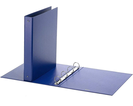 RACCOGLITORE EUROPA BLU 23X33 D30     100460450