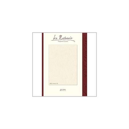 DIPLOMI PERGAMENA A3 LA NATURALE    (NEUTRO) 160 GR. 12 FF. 1800