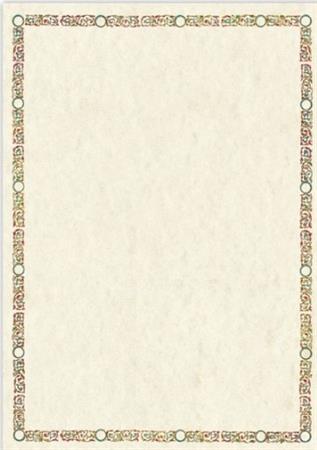 DIPLOMI PERGAMENA LA MENEGHINA A4      1920-4