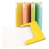 CARTELLA CON ELASTICO SPRING DR.3 ASS.         362370