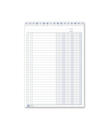 SCHEDE 3 COLONNE DARE AVERE SALSDO CON IVA 24X17  0127