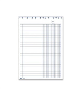 SCHEDE 3 COLONNE DARE AVERE SALSDO CON IVA 24X17  0127