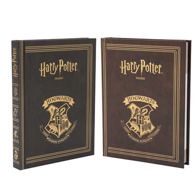 DIARIO HARRY POTTER 10MESI             HR922000