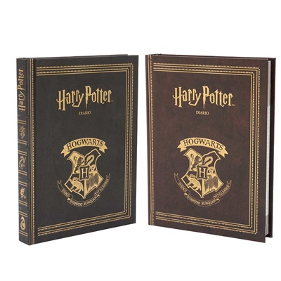 DIARIO HARRY POTTER 10MESI             HR922000