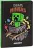 DIARIO MASCOTS MINECRAFT 12M        75916