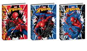 DIARIO SPIDERMAN 10M NON DATATO ASS.    502902600