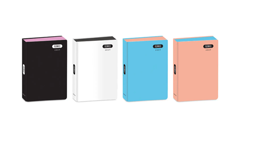 DIARIO TEENACE POCKET 12M PASTELLO 11,5X19,5CM 50E102606