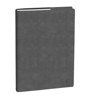 AGENDA SETT.QUO VADIS RIGIRO 9X12 ROMA GRIGIO 2027 03731Q