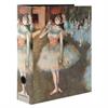 SET 3 RACCOGLITORI BALLERINA DR.8     75283