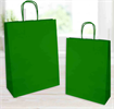 BUSTE SHOPPERS 14X9X21 VERDE        SH31314