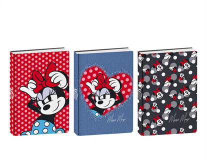 DIARIO MINNIE 10MESI                  50C502500