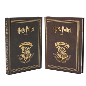 DIARIO HARRY POTTER 10MESI NON DATATO     HR922000