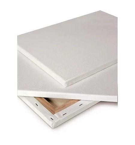 TELA PER DIPINGERE 24X30 HEDERA CONSTANT HC57005