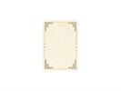 DIPLOMI PERGAMENA A5 LA LEONARDINA  1940-3